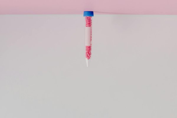 Les Super-Aliments : Des Trésors Nutrientiels pour une Santé Épanouie